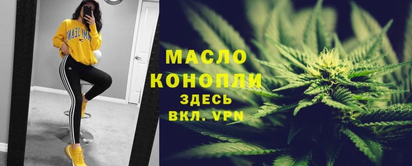 дмт Алзамай