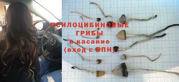 дмт Алзамай